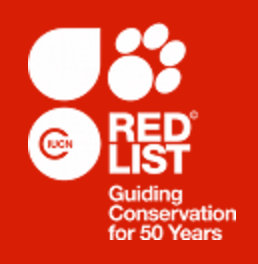red list 250