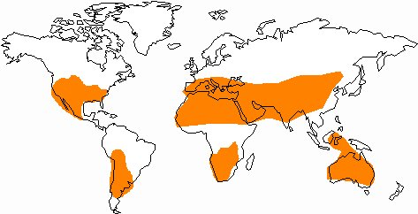 Regionen mit optimaler Sonneneinstrahlung. Karte: SolarPaces