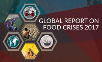 global report food crises